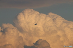 旅客機