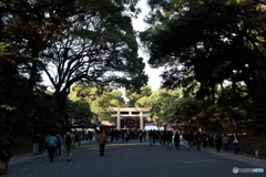 明治神宮