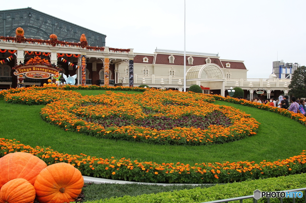 2015ディズニー･ハロウィーン