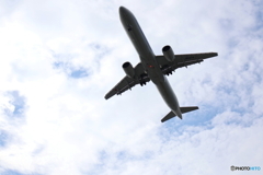 羽田空港
