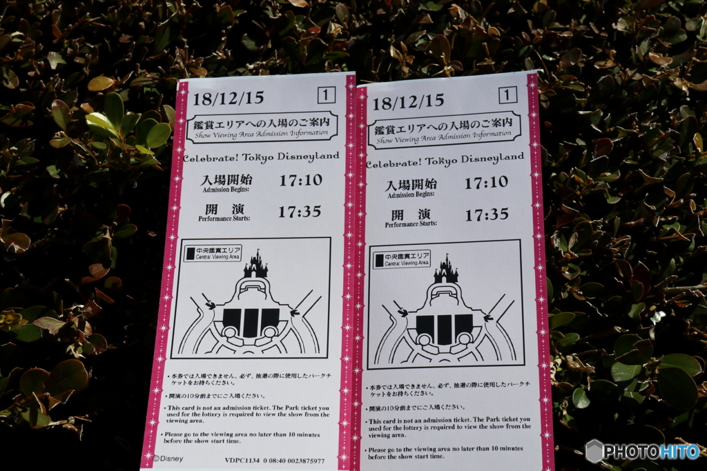 Celebrate! Tokyo Disneyland