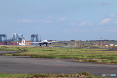 羽田空港