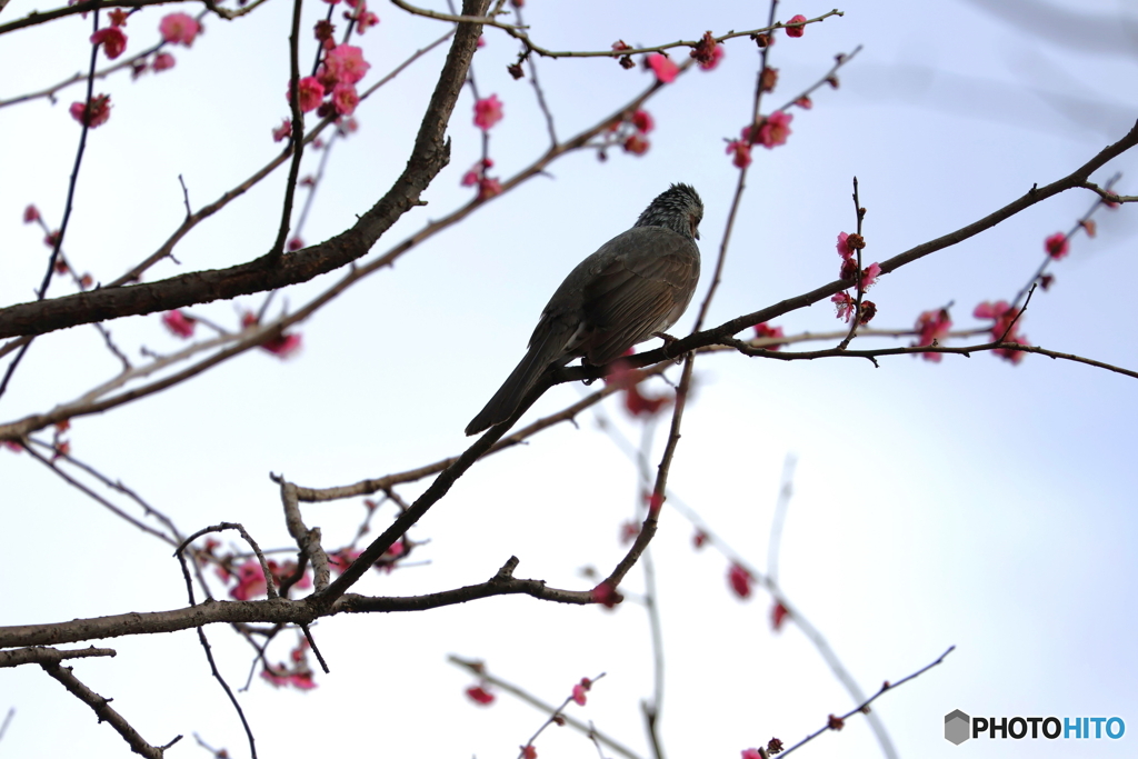郷土の森
