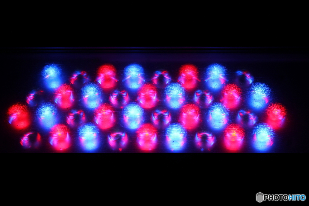 LED