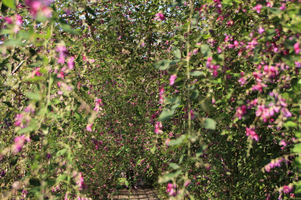 はぎのトンネル