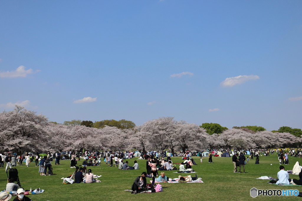 昭和記念公園