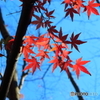 鎌倉散策