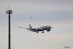 羽田空港
