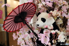 パンダもお花見(^^)