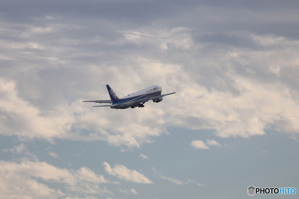 羽田空港