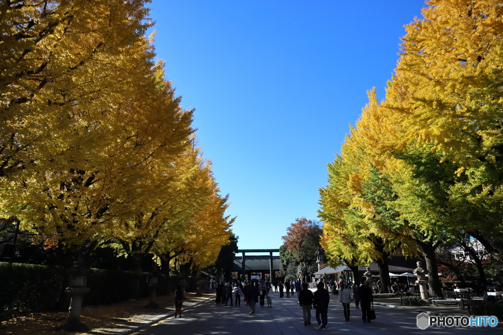 靖国神社