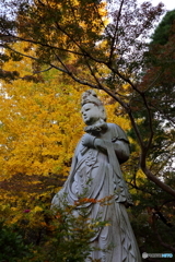 高幡不動尊