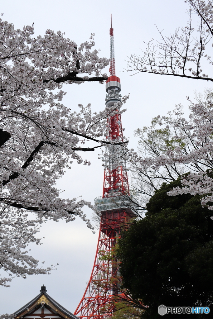 東京タワー