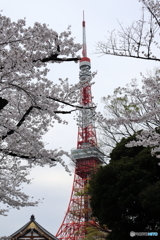 東京タワー