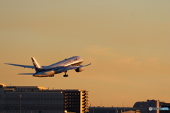 羽田空港