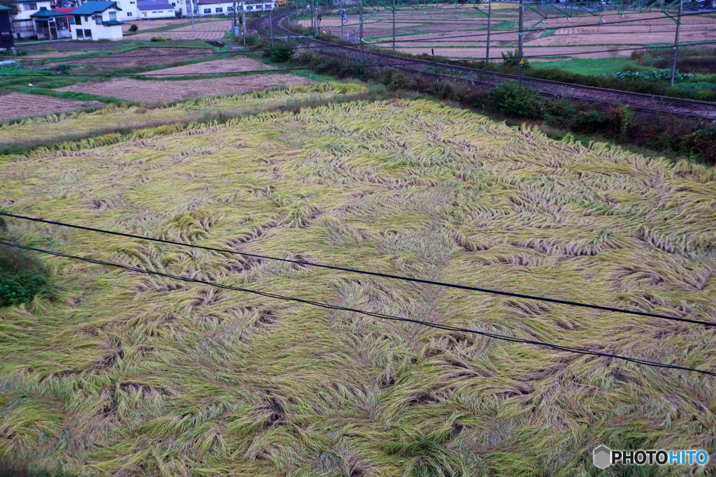 散歩