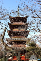 上野東照宮