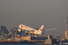 羽田空港