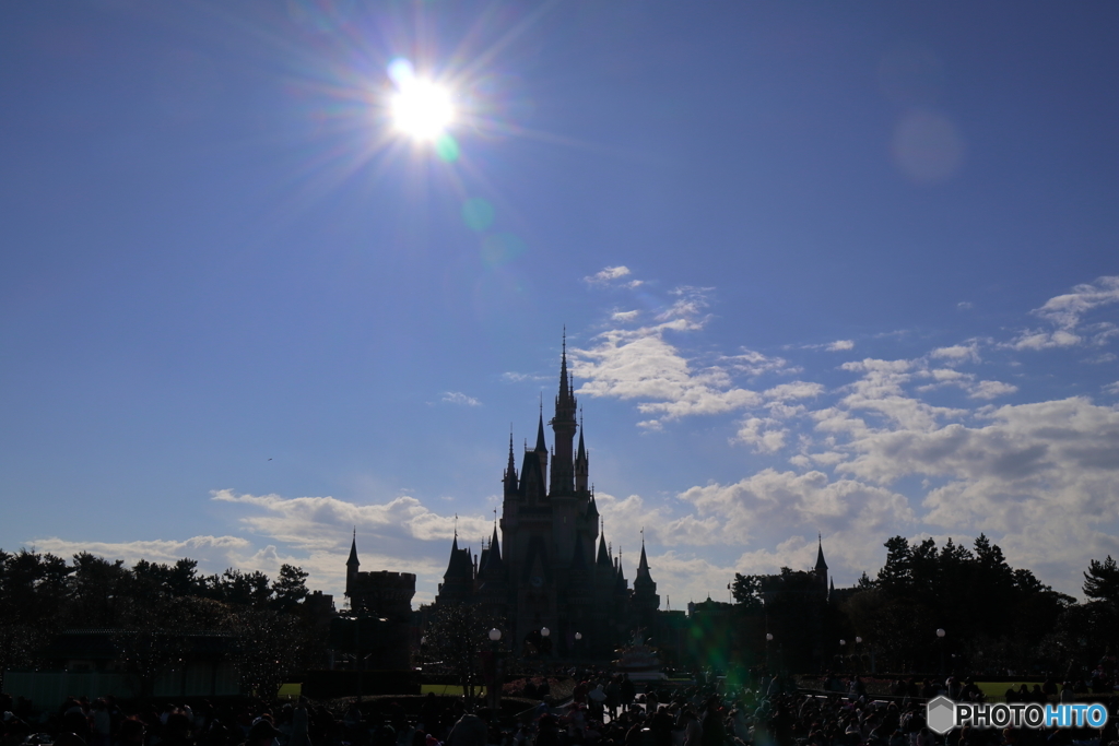TDL