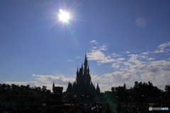 TDL