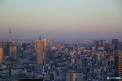夕景