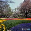 昭和記念公園 