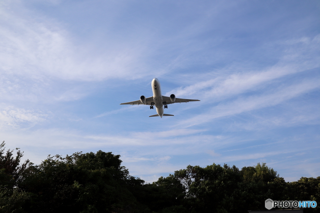 羽田空港