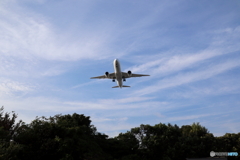 羽田空港