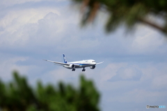 羽田空港