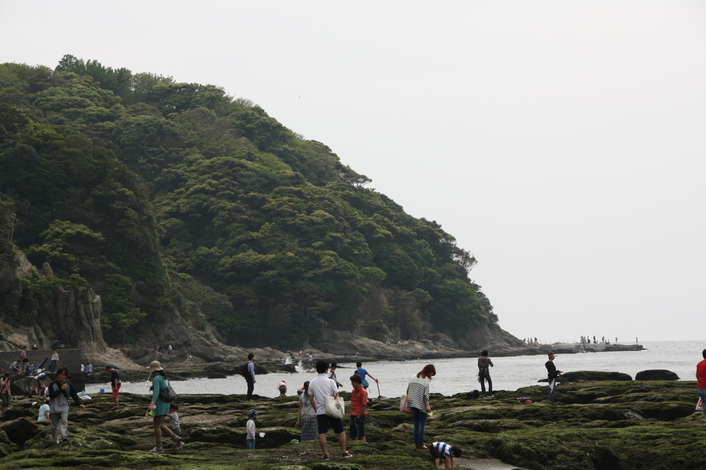 江の島