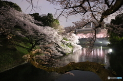 千鳥ヶ淵 