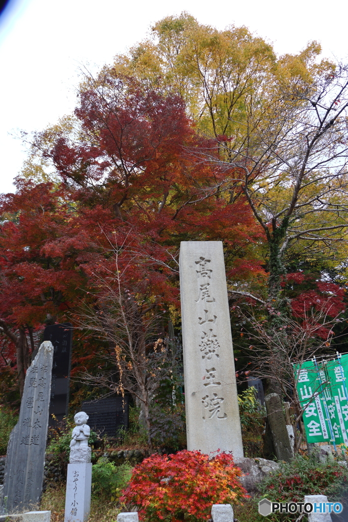 紅葉