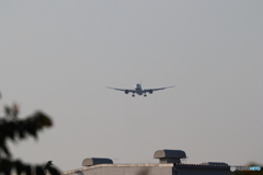 羽田空港