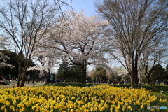 昭和記念公園