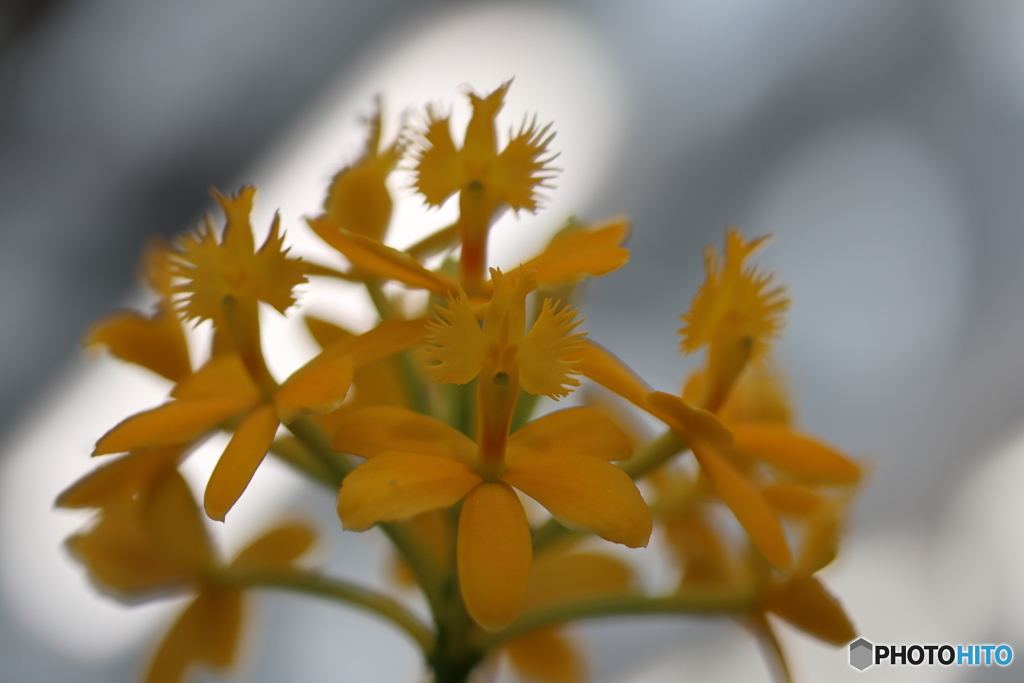 神代植物公園