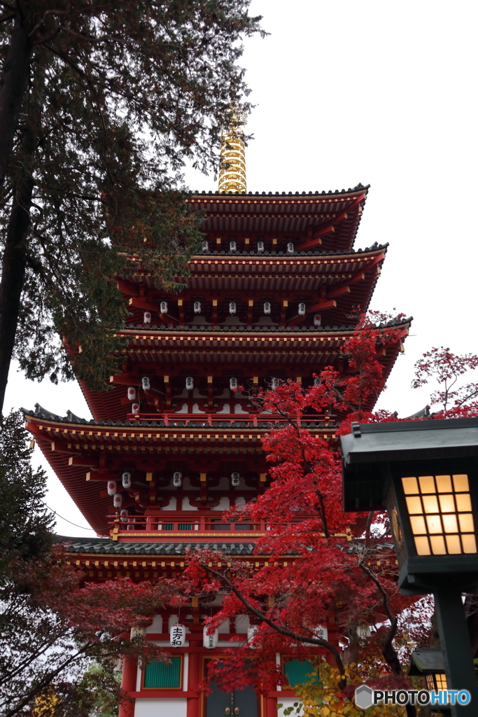 高幡不動尊