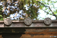 上野東照宮