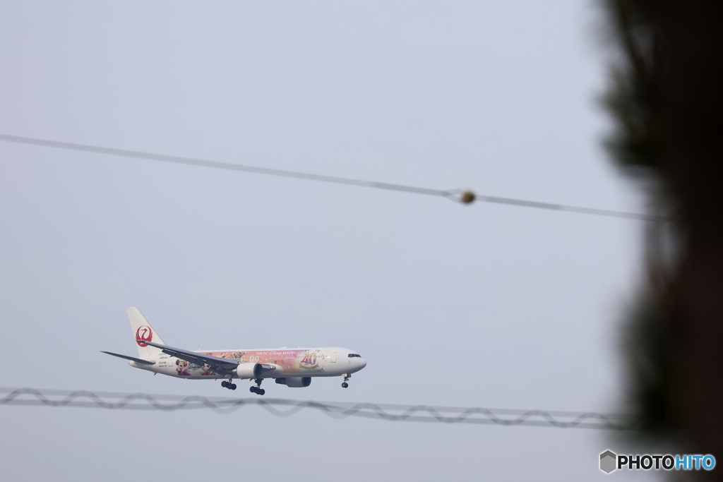 羽田空港