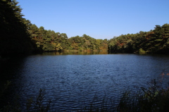 裏磐梯・柳沼