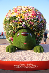 街に咲く花