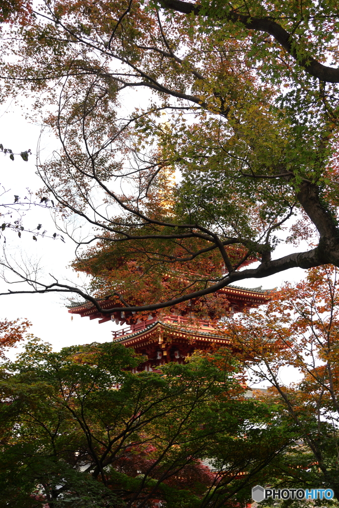 高幡不動尊