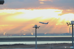 羽田空港