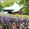  亀戸天神