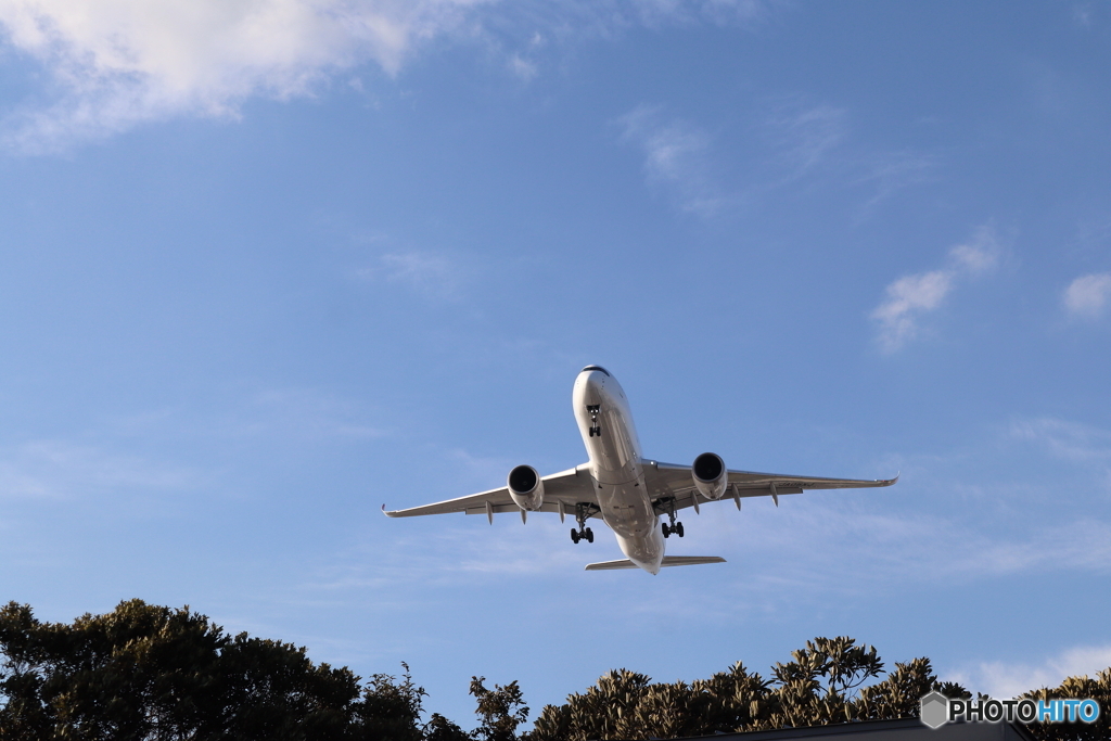羽田空港