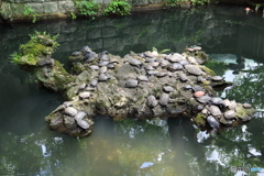 成田山新勝寺