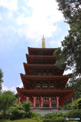 高幡不動尊