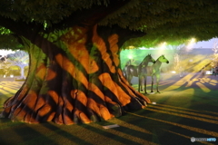 東京メガイルミ