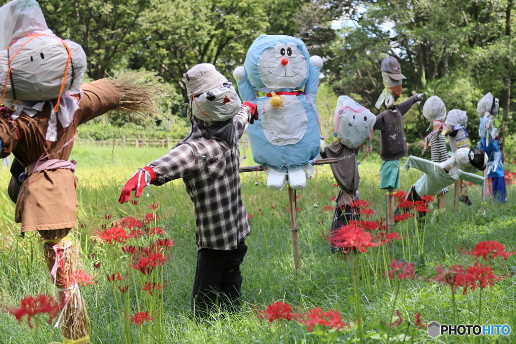 郷土の森