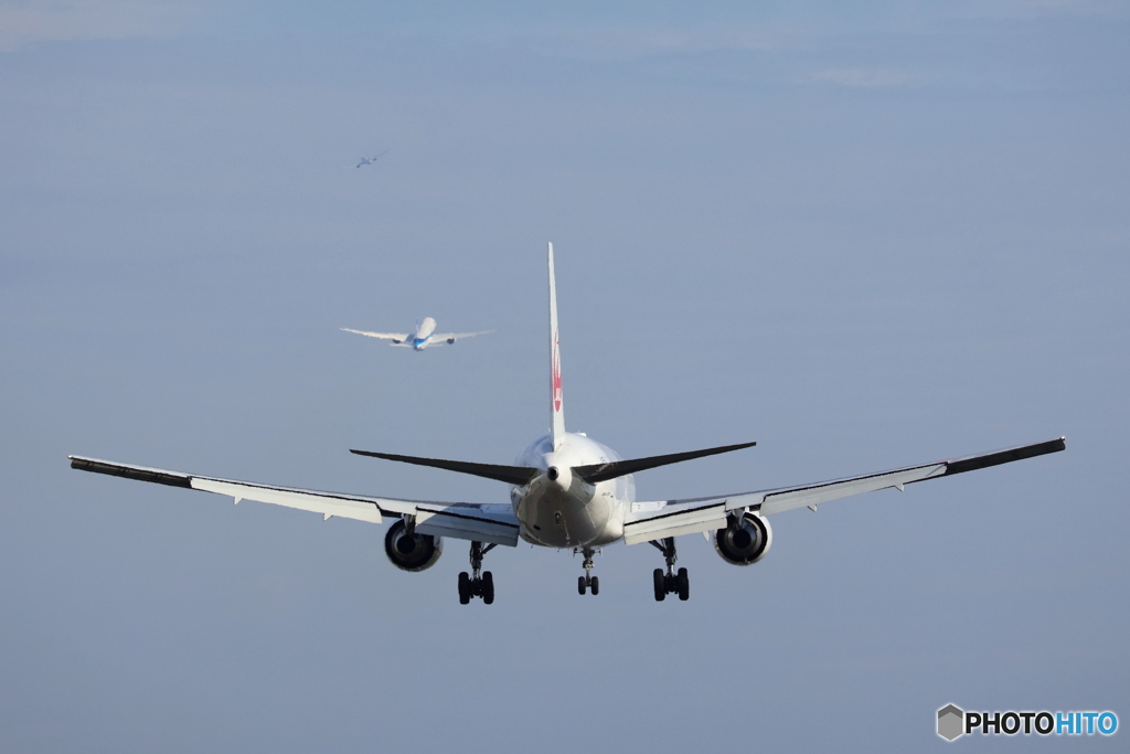 羽田空港