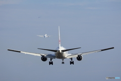 羽田空港